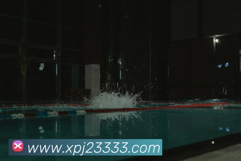 xpj全站App